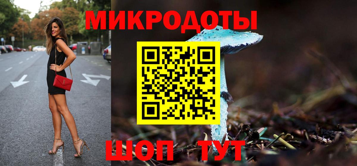 купить наркотики цена  Вход с VPN  Гурьевск  Галлюциногенные грибы Psilocybine cubensis 